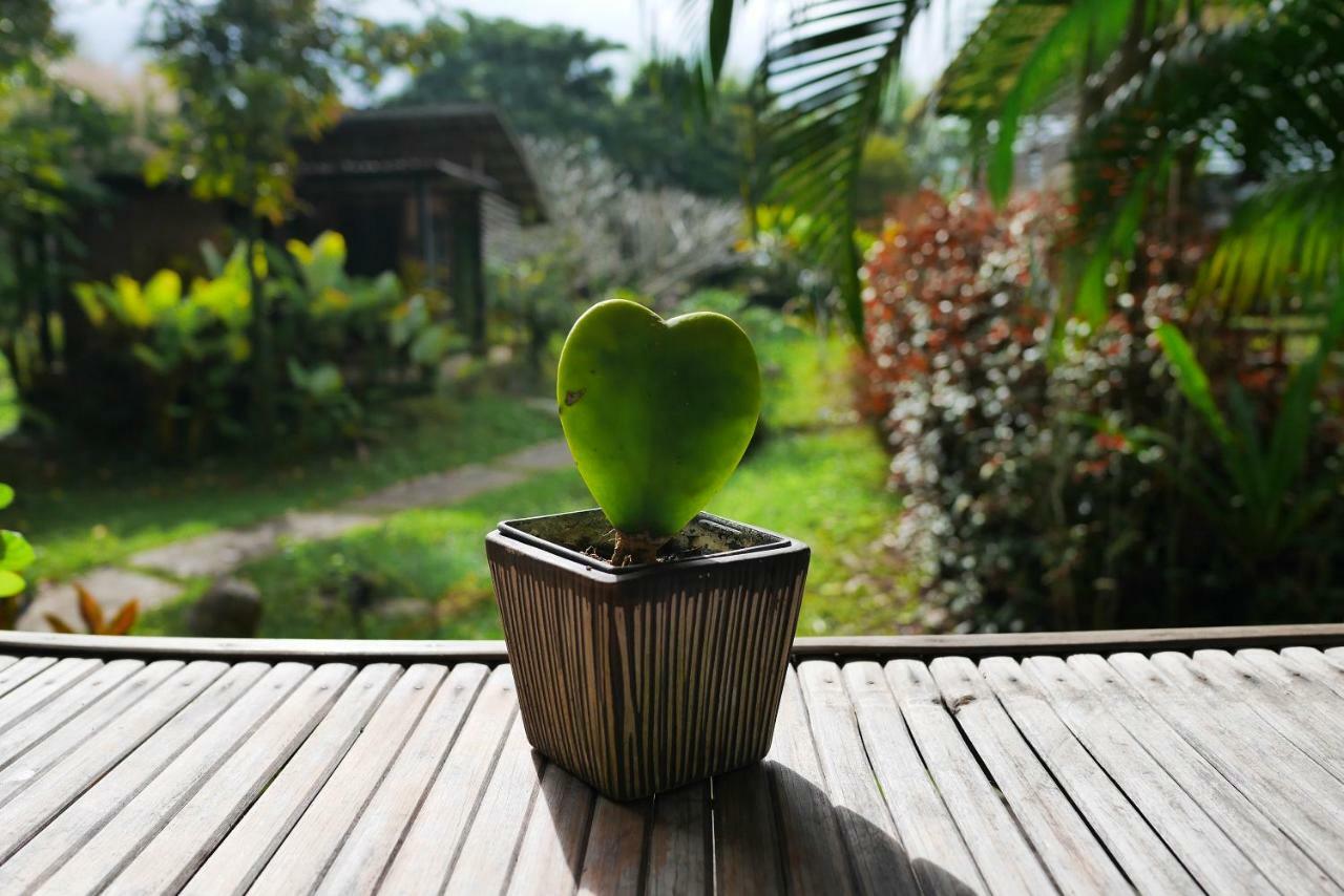 Love Pai Home Esterno foto